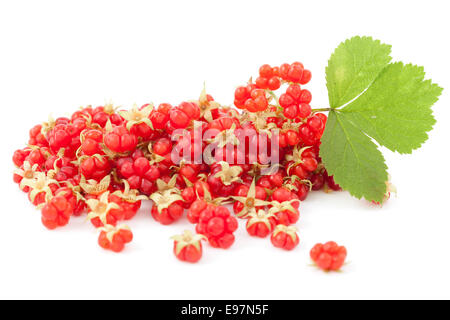 Lamponi " frutti maturi e di foglie su sfondo bianco Foto Stock
