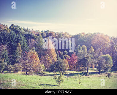 Autunno vintage retrò sullo sfondo della natura. Foto Stock