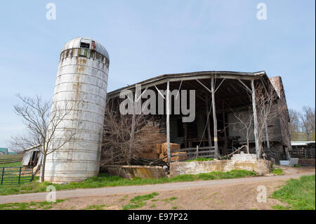 Vecchio silo e fienile vicino McGaheysville, Virginia, Stati Uniti d'America. Foto Stock