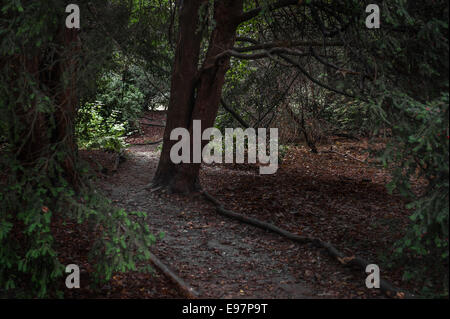 Warley posto in Essex. Il giardino della casa dei horticulturalist Miss Ellen Willmott in Essex. Foto Stock