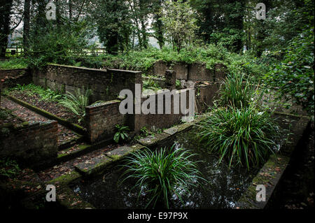 I resti di edifici abbandonati a Warley Place in Essex. Il giardino della casa di orticolturista Miss Ellen Willmott. Foto Stock