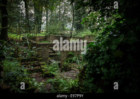 Abbandonate e edifici di Warley posto in Essex. Il giardino della casa dei horticulturalist Miss Ellen Wilmott. Foto Stock