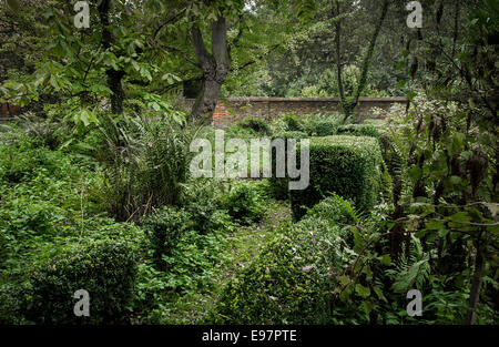 Il giardino murato in sovrasproduzione a Warley Place in Essex. Il giardino della casa di orticolturista Miss Ellen Wilmott. Foto Stock