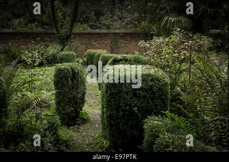 La ricoperta e walled garden a Warley posto in Essex. Il giardino della casa dei horticulturalist Miss Ellen Wilmott. Foto Stock