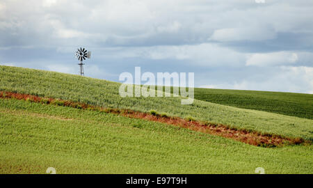 Un vecchio mulino a vento il pompaggio di acqua per i campi agricoli nello stato di Washington. Foto Stock