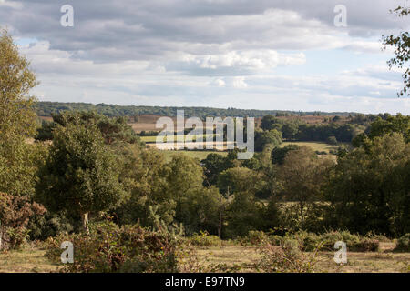 Vista su sandy brughiera Hampton crinale tra Fritham e Frogham vicino a Fordingbridge New Forest Hampshire Inghilterra Foto Stock