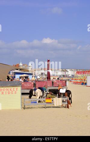 Asino passeggiate sulla spiaggia sabbiosa della Baia di Weymouth Dorset, Foto Stock