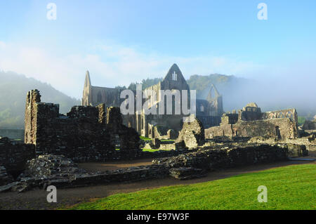 Foschia mattutina, Tintern Abbey (le rovine di abbazia cistercense), Tintern, Monmouthshire, Galles Foto Stock