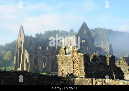 Foschia mattutina, Tintern Abbey (le rovine di abbazia cistercense), Tintern, Monmouthshire, Galles Foto Stock