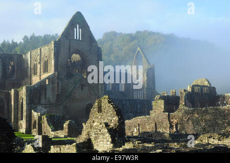 Foschia mattutina, Tintern Abbey (le rovine di abbazia cistercense), Tintern, Monmouthshire, Galles Foto Stock