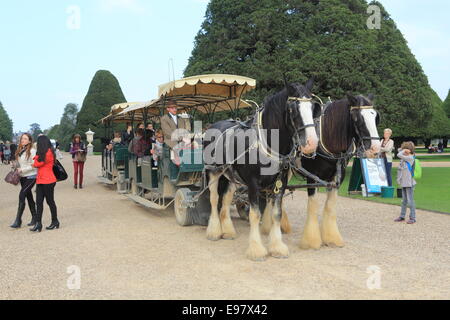 Carro trainato da cavalli per i turisti nei giardini del Palazzo di Hampton Court, nel Surrey, SE Inghilterra, Regno Unito Foto Stock