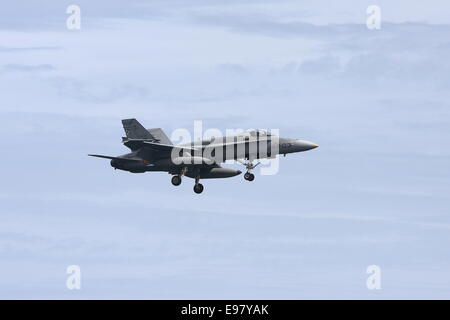 Un Mc Donnell Douglas EF-18A+ Hornet dallo spagnolo Air Force, arrivando in terra. Foto Stock