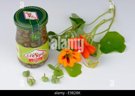 Un vasetto di Capperi in Salamoia con nasturtium fiori e semi (uomo povero capperi) che sono simili Semi di degustazione. Foto Stock