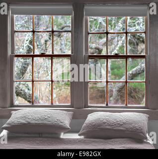 Due cuscini di fronte due finestre in legno albero essendo visibile attraverso le finestre. È in bianco e nero (B/W) immagine in legno interno in griglia Foto Stock