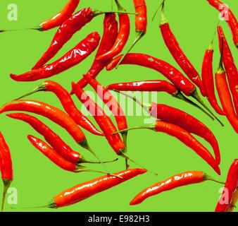 Raccolta decine di chili peppers contro di colore giallo-verde peperoni di colori sono state troppo saturi lungo lo sfondo Foto Stock
