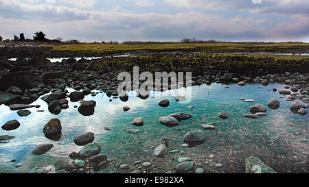 Un corpo riflettente acqua dall' oceano intervallati molte rocce nere. Marsh piccola insenatura blu cielo nuvoloso in distanza. Foto Stock