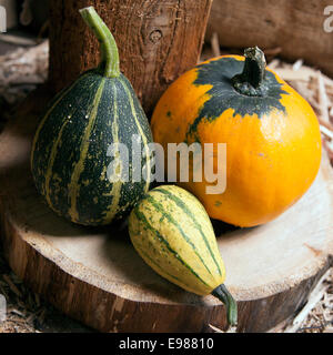 Tre diverse zucche decorative su uno sfondo di legno Foto Stock