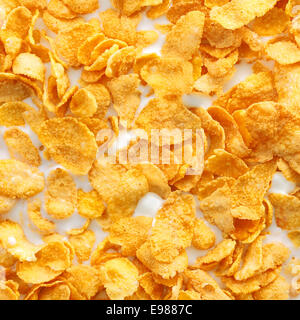 Full frame closeup di corn flakes con latte Foto Stock