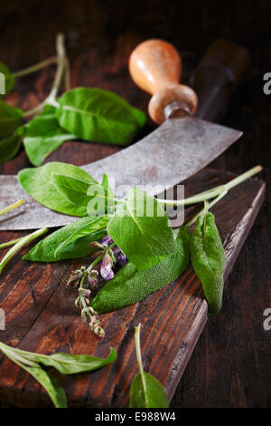 Salvia fresca su una tavola in legno rustico con una lama per tritare in preparazione per l'utilizzo come condimento in cucina Foto Stock