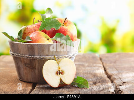 Vasca in legno pieno di appena raccolto le mele rosse con un dimezzato apple sul display su un tavolo di legno aperto con copyspace Foto Stock