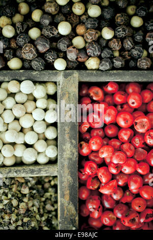 Diverse varietà di grano di pepe con interi essiccati nero, bianco e pepe rosa con i loro variopinti colori rosso utilizzato come Foto Stock