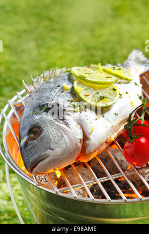 Tutto orata breem guarnite con fettine di limone grilliing alla brace su un barbecue per esterni Foto Stock