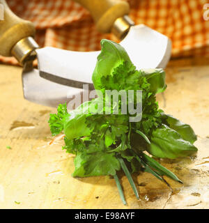 Garni bouquet di erbe aromatiche fresche compreso il basilico, crinkly foglie di prezzemolo e erba cipollina giacente su di un tavolo di legno di fronte a una lama per tritare Foto Stock