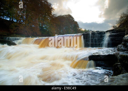 Abbassare Aysgarth Falls, Yorkshire Dales Inghilterra. Foto Stock