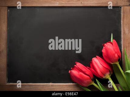 Tre freschi tulipani rossi disposti in un angolo su una scuola vintage ardesia con copyspace vuota per il testo Foto Stock