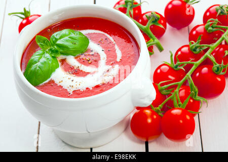 Display a colori di zuppa di pomodoro con Crema di basilico e a fianco di un grappolo di uva fresca pomodori sulla vite sul dipinto di bianco di tavole di legno Foto Stock