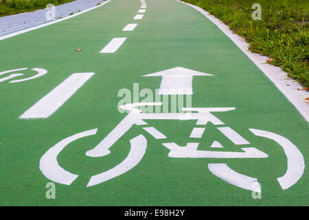 Urban ciclyng lane, pista ciclabile, pista ciclabile, pista ciclabile Foto Stock