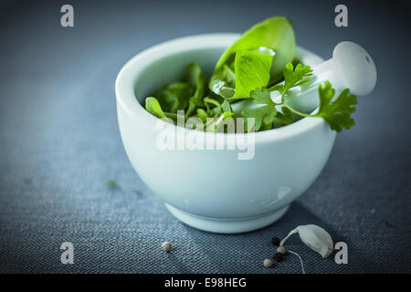 Fresche erbe miste in un pestello e mortaio con il basilico, prezzemolo e spicchi di aglio per fare un condimento aromatico e ingrediente di cottura con la vignettatura Foto Stock