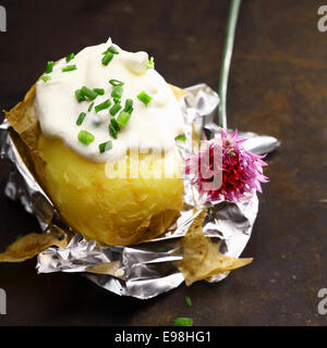 Lamina di patate al forno con panna acida e erba cipollina fresca tritata con un fiore fuori da una pianta di erba cipollina servita parzialmente pelato sul suo involucro in foglio Foto Stock