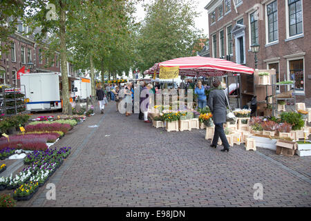 Fiori sul mercato nella cittadina olandese di Wijk bij Duurstede Foto Stock