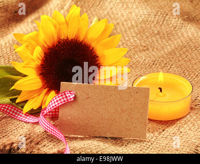 Festa di Natale sfondo di girasole con un vivace colore giallo girasole freschi e masterizzazione di candela arancione con un blank gift tag o Foto Stock