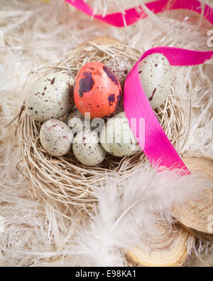 Screziato azzurro Uova di Pasqua in un nido su piume con un unico colore rosso uno e un nastro rosa Foto Stock