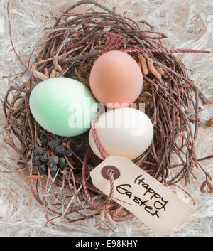 Tre tinte bollite le uova di Pasqua in un nido con una Felice Pasqua tag. Foto Stock