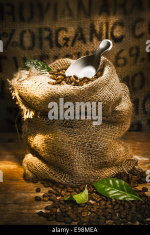 Piccolo hessian sacco riempito con freschi chicchi di caffè tostati sormontato da una piccola pala con la parola evidenziata organico su hessian Foto Stock