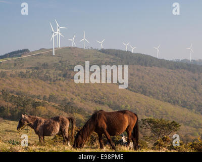 Le mucche e i mulini a vento impianto Foto Stock