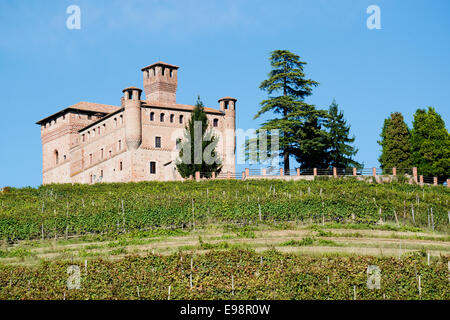 L'Italia,panorama di vigneti del Piemonte: Langhe-Roero e Monferrato sul patrimonio mondiale:vista del Premio Grinzane Cavour castle Foto Stock