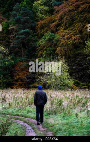 Un uomo prendendo in autunno di colori su una solitaria campagna a piedi. Foto Stock