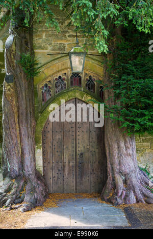 Alberi che crescono intorno ad uno dei portali a San Edwards Chiesa, Stow-su-il-Wold, Cotswolds, Gloucestershire, Inghilterra Foto Stock