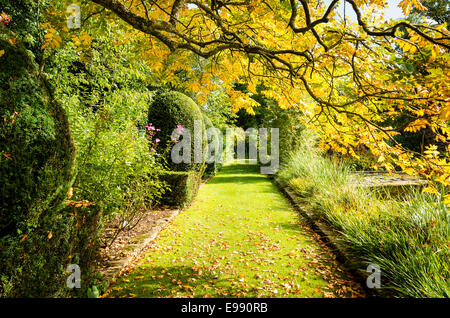 Autunnale di percorso attraverso i tribunali giardino nel Wiltshire UKh Foto Stock