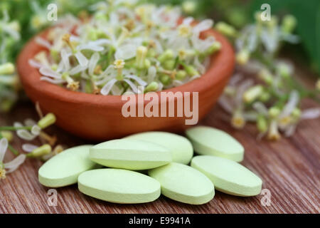 Pillole fatte da medicinali fiore di neem e lascia sulla superficie di legno Foto Stock