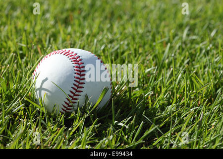 Una chiusura delle cuciture rosse su un baseball, posa in erba verde Foto Stock