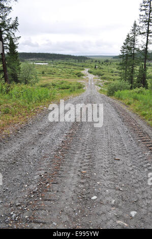 Strada sterrata dopo una pioggia nella zona del fiume Lemva negli Urali polari. La Repubblica di Komi, Russia. Foto Stock