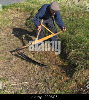 dh Scotland Field Worker HARVEST UK Traditional Farmer tagliando l'erba con scythe uk contadini operai contadini vecchi metodi di coltivazione la falce nei campi Foto Stock