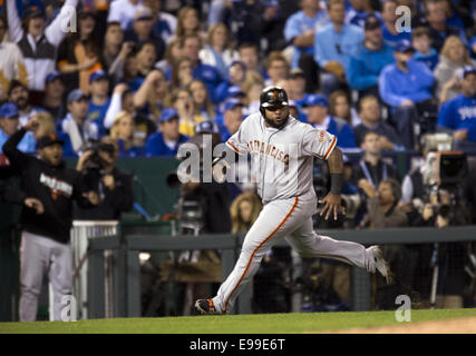 Kansas City, MO, Stati Uniti d'America. 22 ottobre, 2014. Ottobre 22, 2014 - Kansas City, MO, Stati Uniti d'America - San Francisco Giants terzo baseman Pablo Sandoval i punteggi su un doppio da Brandon cinghia nel quarto inning durante il gioco 2 del World Series presso Kauffman Stadium di Kansas City, Mo. Mercoledì, Ottobre 22, 2014. (Credito Immagine: © Paul Kitagaki Jr/Sacramento Bee/ZUMA filo) Credito: ZUMA Press, Inc/Alamy Live News Foto Stock