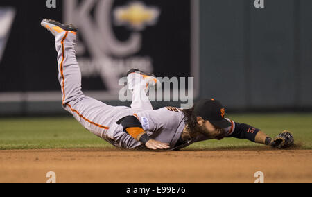 Kansas City, MO, Stati Uniti d'America. 22 ottobre, 2014. Ottobre 22, 2014 - Kansas City, MO, Stati Uniti d'America - San Francisco Giants interbase Brandon Crawford immersioni e manca un singolo da Kansas City Royals designato hitter Billy Butler nel primo inning durante il gioco 2 del World Series presso Kauffman Stadium di Kansas City, Mo. Mercoledì, Ottobre 22, 2014. (Credito Immagine: © Paul Kitagaki Jr/Sacramento Bee/ZUMA filo) Credito: ZUMA Press, Inc/Alamy Live News Foto Stock
