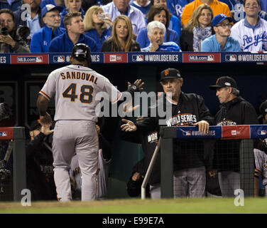 Kansas City, MO, Stati Uniti d'America. 22 ottobre, 2014. Ottobre 22, 2014 - Kansas City, MO, Stati Uniti d'America - San Francisco Giants Pablo Sandoval i punteggi su un doppio da Brandon cinghia nel quarto inning durante il gioco 2 del World Series presso Kauffman Stadium di Kansas City, Mo. Mercoledì, Ottobre 22, 2014. (Credito Immagine: © Paul Kitagaki Jr/Sacramento Bee/ZUMA filo) Credito: ZUMA Press, Inc/Alamy Live News Foto Stock